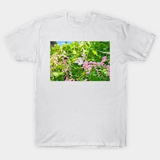 Butterfly Study 8 T-Shirt